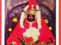 अमरेश्वर - श्रीअमरेश्वराची मूर्त‍ि