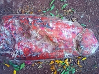 बीदरची वेसेत श्रीव‍िठ्ठलाचे पाऊल