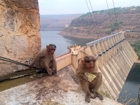 श्रीशैलम - पाताळगंगेवरील धरणाचे व‍िहंगम दर्शन